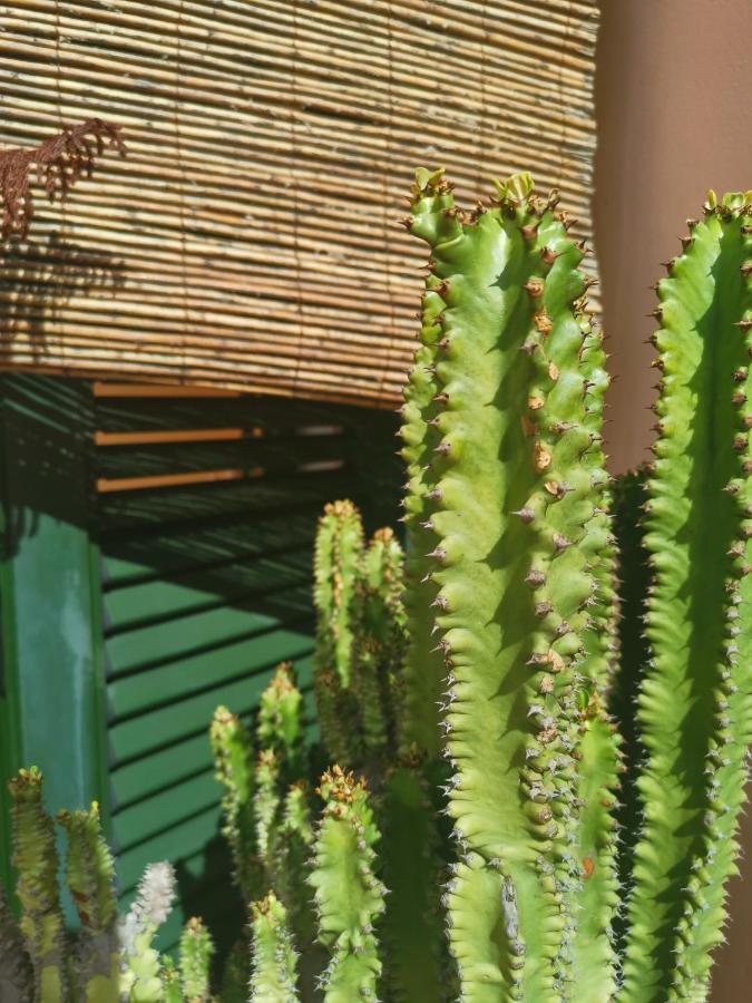 Paradise Villa Corralejo Dış mekan fotoğraf